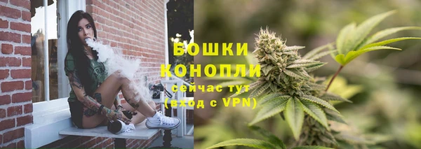 мет Дмитров