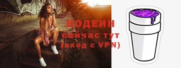мет Дмитров